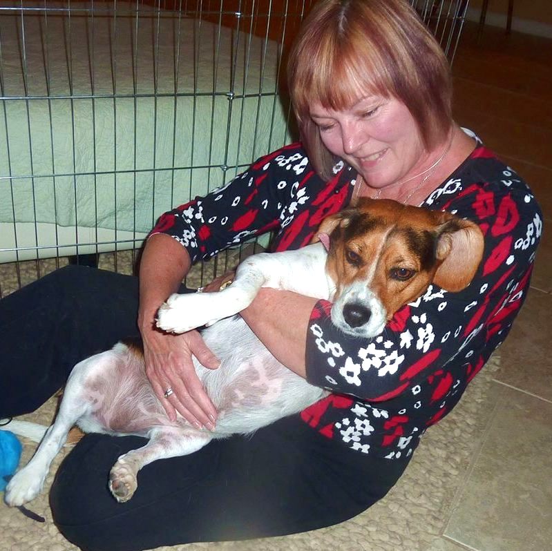 Dogs and Cats love Anne Penman Reiki in Las Vegas