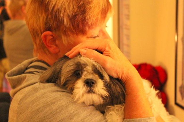 Dogs love Reiki too!  She's a little afaid.