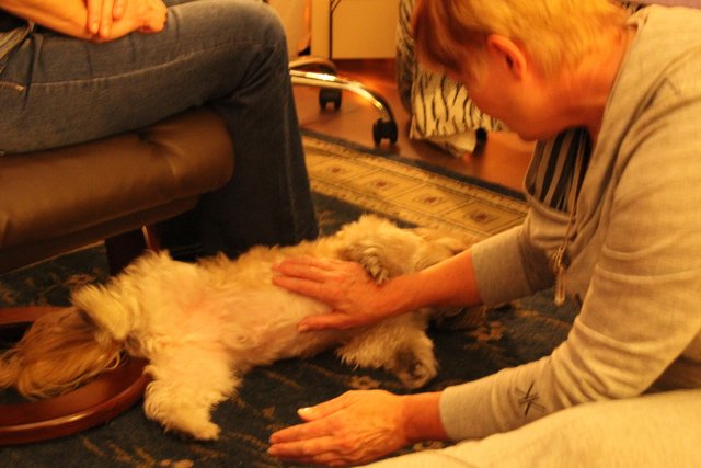 Reiki is trust